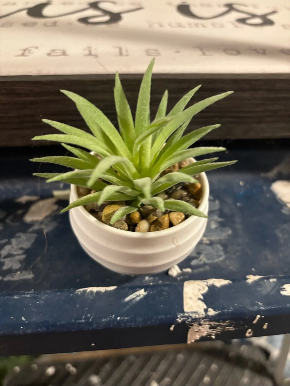 Mini Artificial Succulent Assortment in White Pots - Green